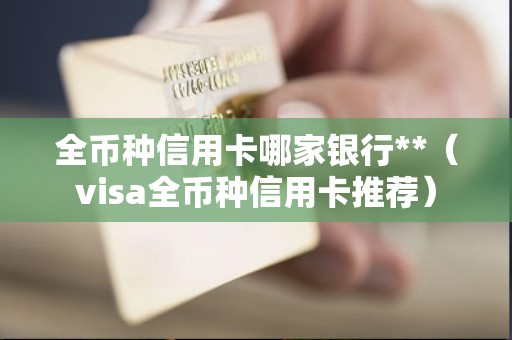 全币种信用卡哪家银行**（visa全币种信用卡推荐）