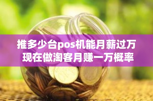 推多少台pos机能月薪过万 现在做淘客月赚一万概率大么