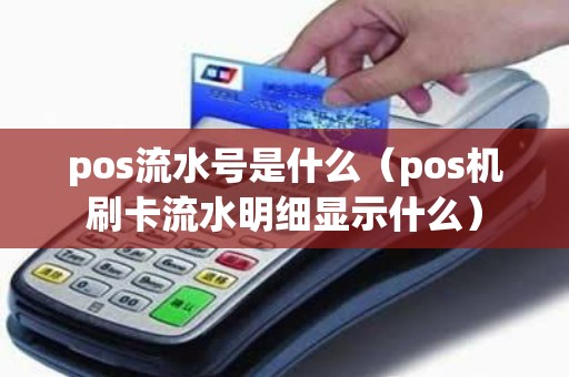 pos流水号是什么（pos机刷卡流水明细显示什么）