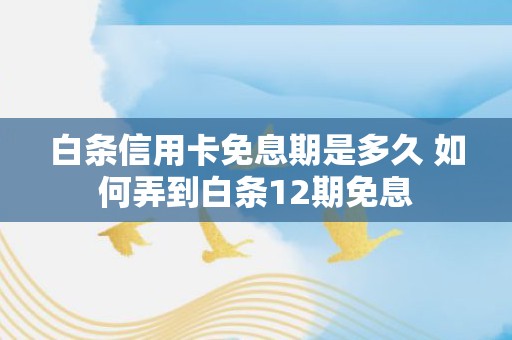 白条信用卡免息期是多久 如何弄到白条12期免息