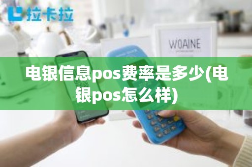 电银信息pos费率是多少(电银pos怎么样)