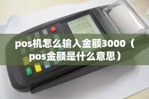 pos机怎么输入金额3000（pos金额是什么意思）