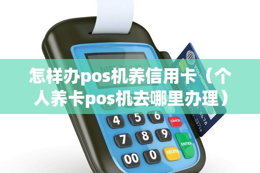 怎样办pos机养信用卡（个人养卡pos机去哪里办理）