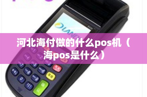 河北海付做的什么pos机（海pos是什么）