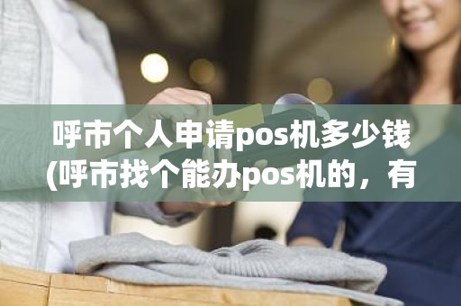 呼市个人申请pos机多少钱(呼市找个能办pos机的，有吗)