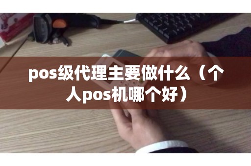 pos级代理主要做什么（个人pos机哪个好）