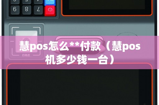慧pos怎么**付款（慧pos机多少钱一台）