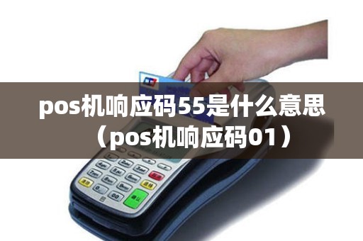 pos机响应码55是什么意思（pos机响应码01）