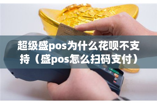 超级盛pos为什么花呗不支持（盛pos怎么扫码支付）