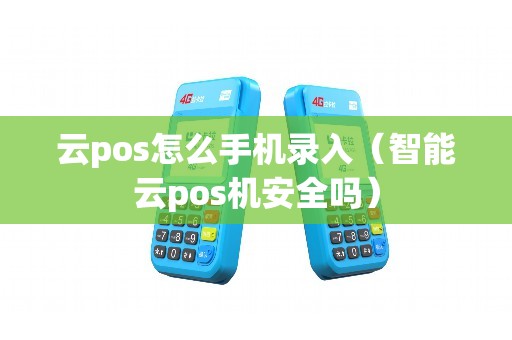 云pos怎么手机录入（智能云pos机安全吗）