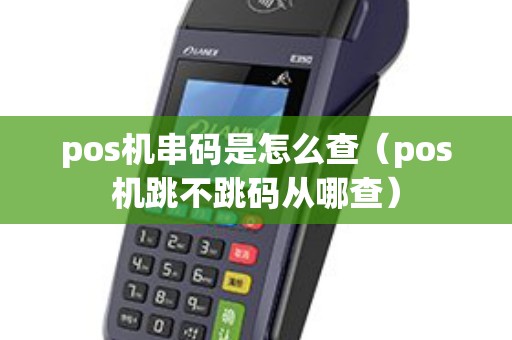 pos机串码是怎么查（pos机跳不跳码从哪查）