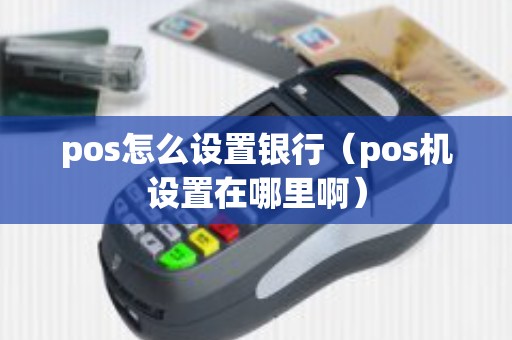 pos怎么设置银行（pos机设置在哪里啊）