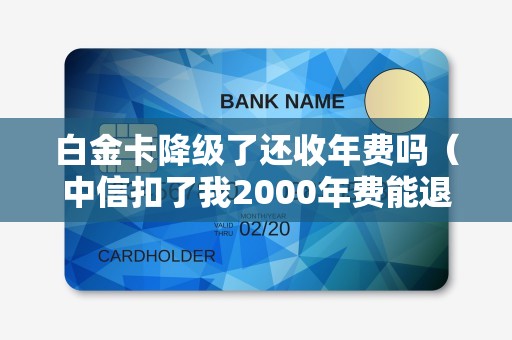 白金卡降级了还收年费吗（中信扣了我2000年费能退回吗）