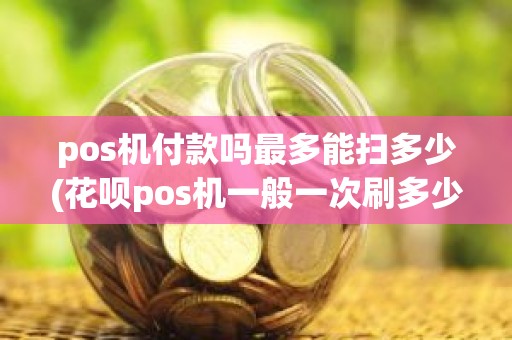 pos机付款吗最多能扫多少(花呗pos机一般一次刷多少为好)