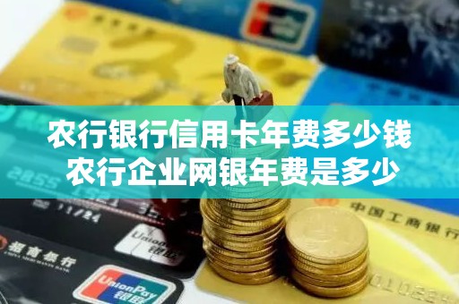 农行银行信用卡年费多少钱 农行企业网银年费是多少钱