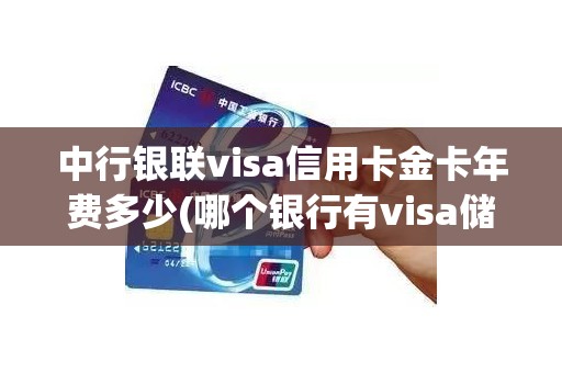 中行银联visa信用卡金卡年费多少(哪个银行有visa储蓄卡)