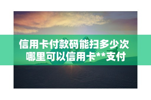 信用卡付款码能扫多少次 哪里可以信用卡**支付