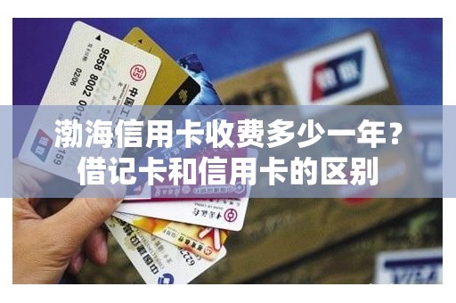 渤海信用卡收费多少一年？借记卡和信用卡的区别