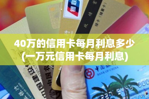 40万的信用卡每月利息多少(一万元信用卡每月利息)