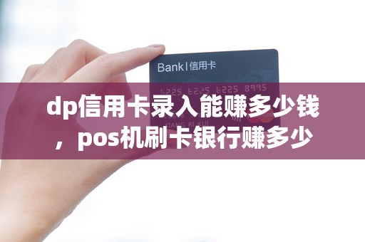 dp信用卡录入能赚多少钱，pos机刷卡银行赚多少