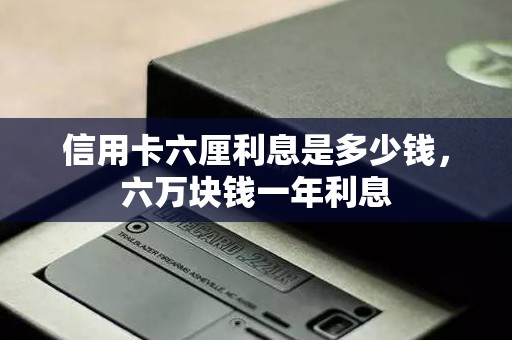 信用卡六厘利息是多少钱，六万块钱一年利息