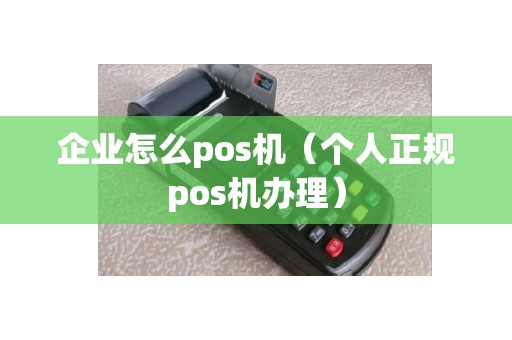 企业怎么pos机（个人正规pos机办理）