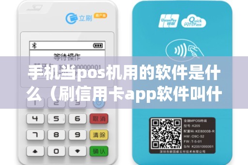 手机当pos机用的软件是什么（刷信用卡app软件叫什么名字）