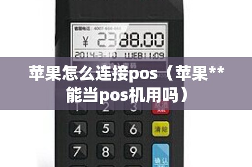 苹果怎么连接pos（苹果**能当pos机用吗）