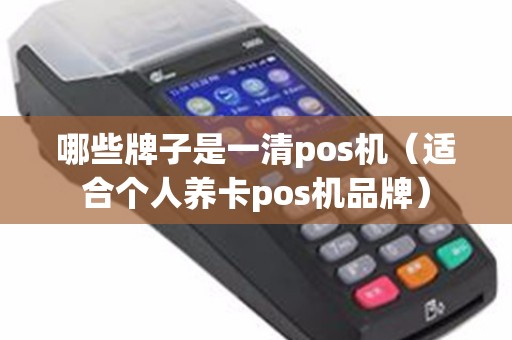 哪些牌子是一清pos机（适合个人养卡pos机品牌）