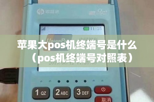 苹果大pos机终端号是什么（pos机终端号对照表）