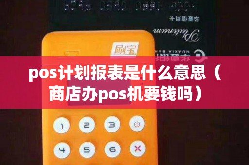 pos计划报表是什么意思（商店办pos机要钱吗）