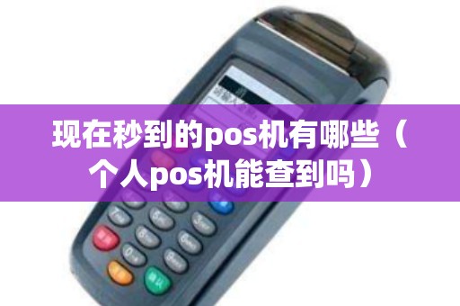 现在秒到的pos机有哪些（个人pos机能查到吗）