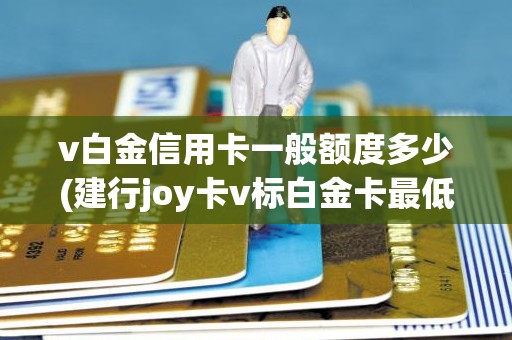 v白金信用卡一般额度多少(建行joy卡v标白金卡最低额度)