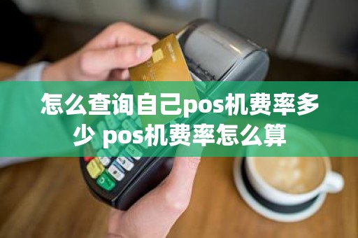 怎么查询自己pos机费率多少 pos机费率怎么算