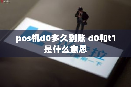 pos机d0多久到账 d0和t1是什么意思