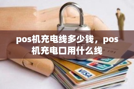 pos机充电线多少钱，pos机充电口用什么线