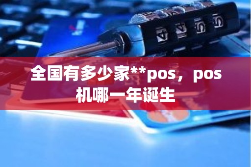 全国有多少家**pos，pos机哪一年诞生