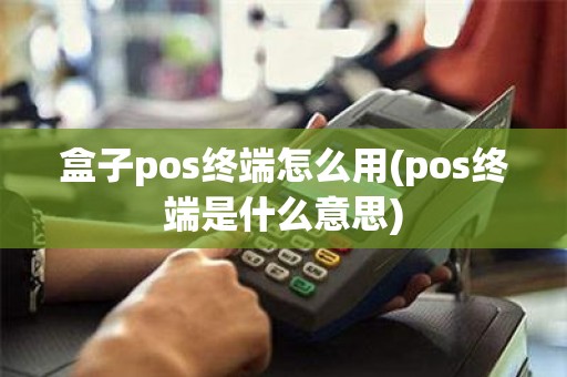 盒子pos终端怎么用(pos终端是什么意思)