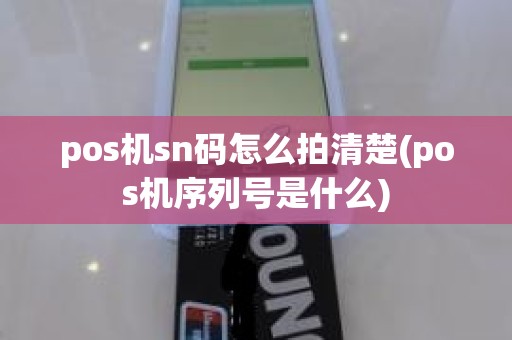 pos机sn码怎么拍清楚(pos机序列号是什么)