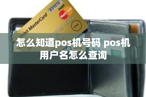 怎么知道pos机号码 pos机用户名怎么查询