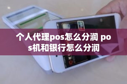 个人代理pos怎么分润 pos机和银行怎么分润