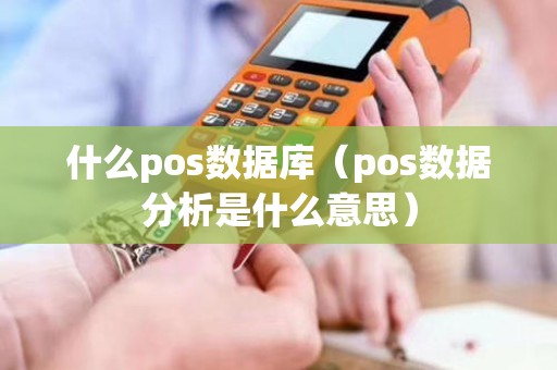 什么pos数据库（pos数据分析是什么意思）