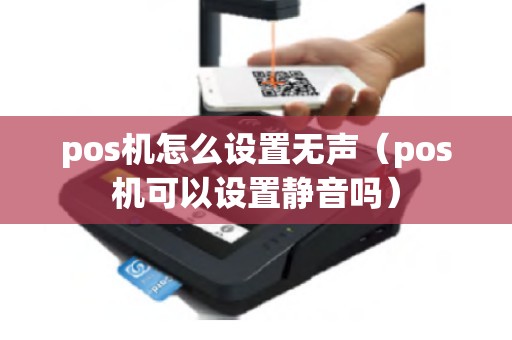 pos机怎么设置无声（pos机可以设置静音吗）