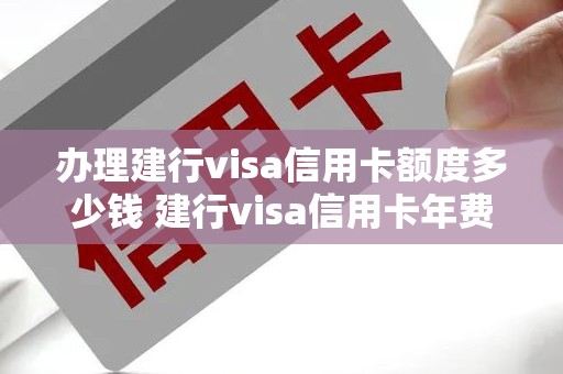 办理建行visa信用卡额度多少钱 建行visa信用卡年费