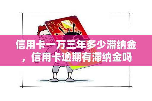 信用卡一万三年多少滞纳金，信用卡逾期有滞纳金吗