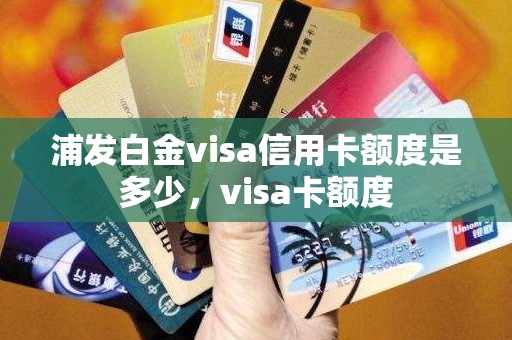 浦发白金visa信用卡额度是多少，visa卡额度