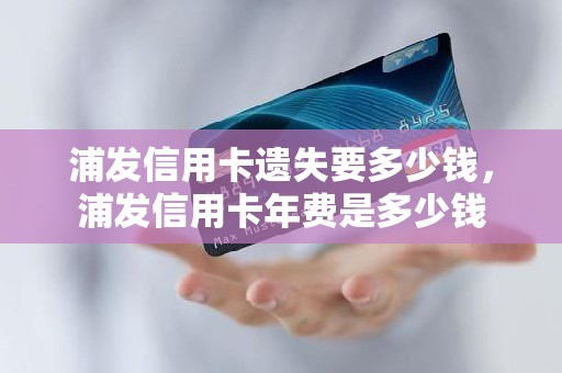 浦发信用卡遗失要多少钱，浦发信用卡年费是多少钱