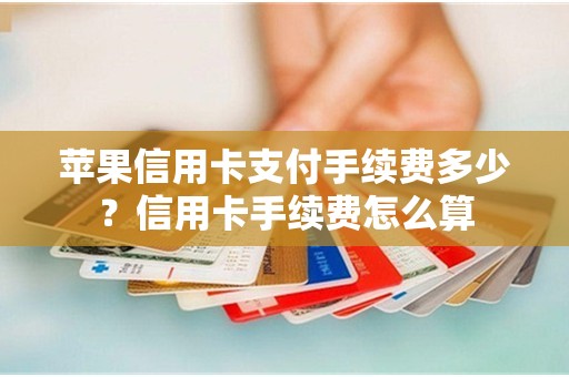 苹果信用卡支付手续费多少？信用卡手续费怎么算