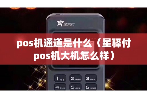 pos机通道是什么（星驿付pos机大机怎么样）