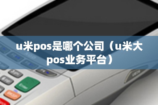 u米pos是哪个公司（u米大pos业务平台）